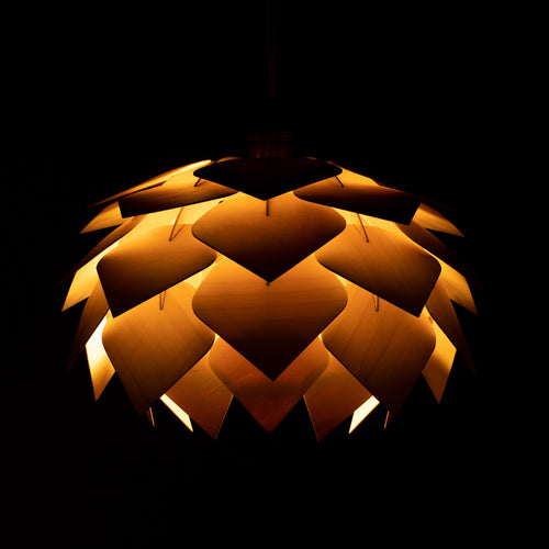 Käpy varjostin pimeässä